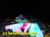 /home//u458753944/public_html/sourcegallery////////////////McKaig Nature Center/2020-10-11/PA110742.JPG